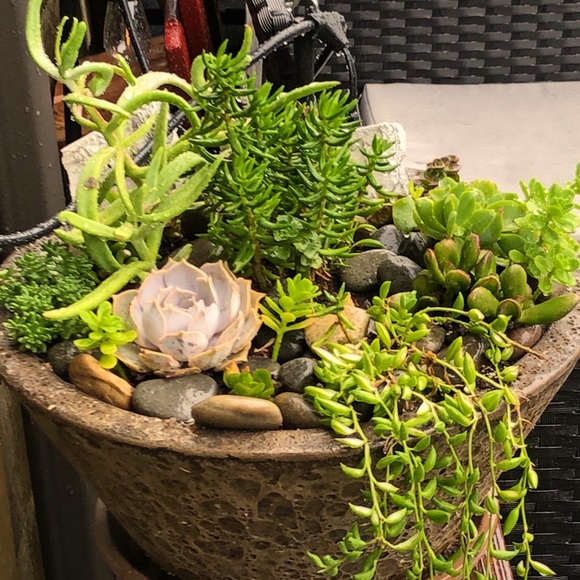 Meet the Posher Kasia - Picture 2 of 16